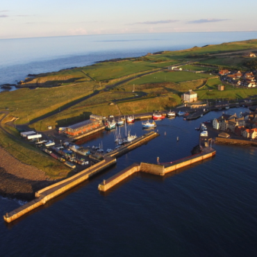 Eyemouth Harbour is named as preferred location for Operation & Maintenance base.