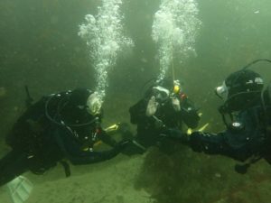 Dive Shore Access - Survey