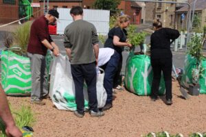 Waterfront Regeneration Project: Community Sea – Garden Installation 2